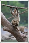 IMG_2560z