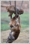 IMG_2563z