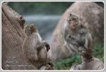 IMG_2586z