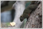 IMG_2596z