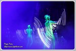 IMG_2629z