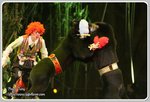 IMG_2661z