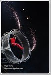IMG_2692z