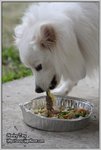 IMG_0903z