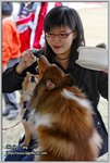 IMG_0920z
