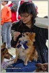 IMG_0922z