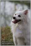 IMG_0935z
