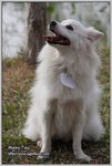 IMG_0937z