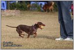 IMG_0953z