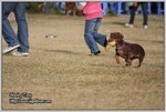 IMG_0954z