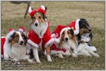 IMG_0964z