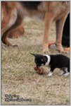 IMG_0970z