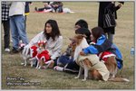 IMG_0974z