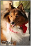 IMG_0977z