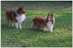 IMG_9394z