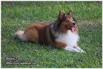 IMG_9396z