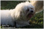 IMG_9401z