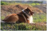 IMG_9450z