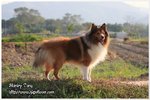 IMG_9452z