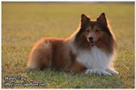 IMG_9509z