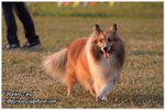 IMG_9518z