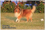 IMG_9519z