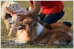 IMG_9524z