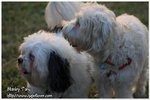 IMG_9583z