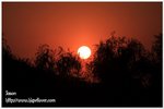 IMG_9608z