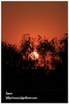 IMG_9611z