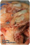 IMG_9138z