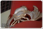 IMG_8938z