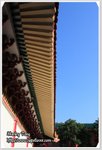 IMG_8995z
