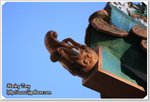 IMG_8999z
