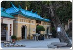 IMG_9011z