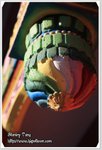 IMG_9018z