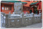 IMG_9064z