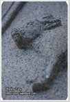 IMG_9069z