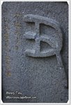 IMG_9071z