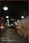 IMG_8865z