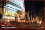 IMG_8878z