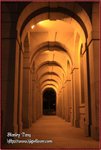 IMG_8902z