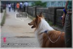 IMG_7385z