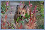 IMG_7151z