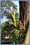 IMG_7174z