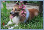 IMG_7226z