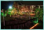 IMG_6822z