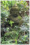 IMG_5834z
