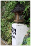 IMG_5843z