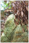 IMG_5881z